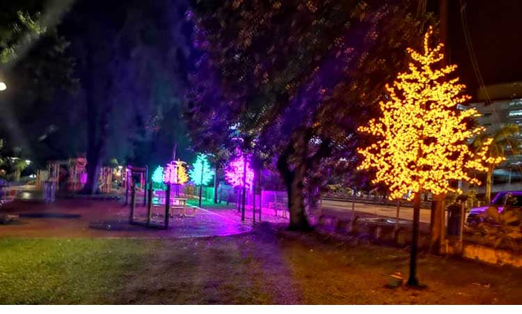 LED Cherry Blossom Tree Light