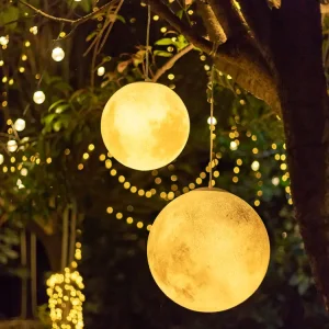 outdoor moon light