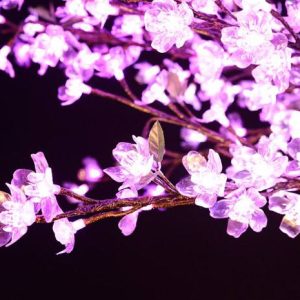 Cherry Blossom Light Tree : Waterproof Durable LED Tree for Christmas and Garden Landscape Decor 10 Bulk Wholesale Cherry Blossom Light Tree Factory Custom Height Flower Density LED Illuminated Cherry Tree for Hotel Park Mall Outdoor Holiday Decoration