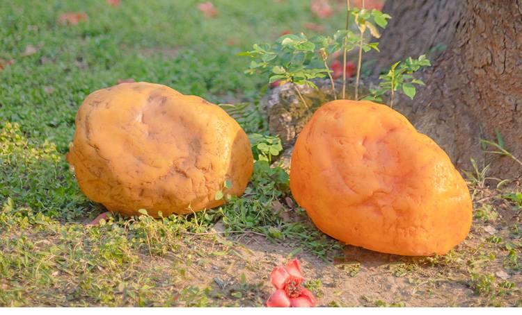 Solar Egg Sone Light