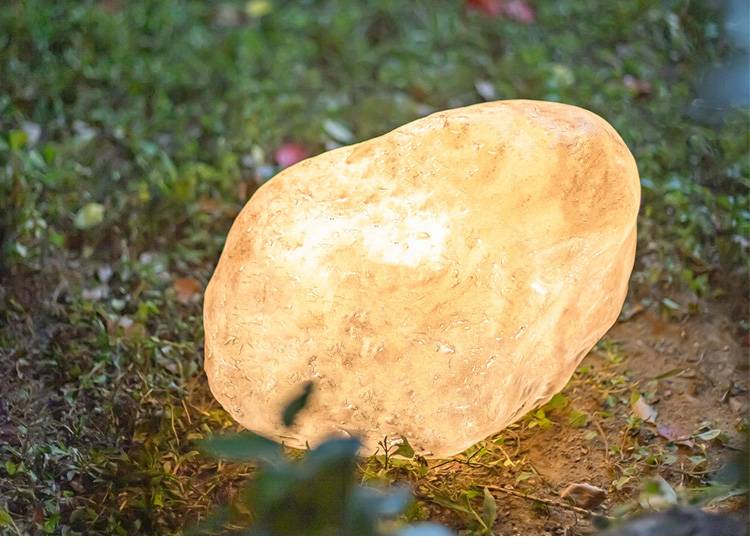 Solar Egg Sone Light