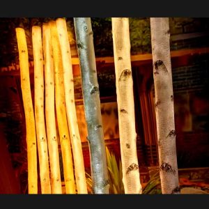 Home 33 Lighted Birch Trees - Waterproof White Birch Tree with LED Lights for Indoor Outdoor Decor