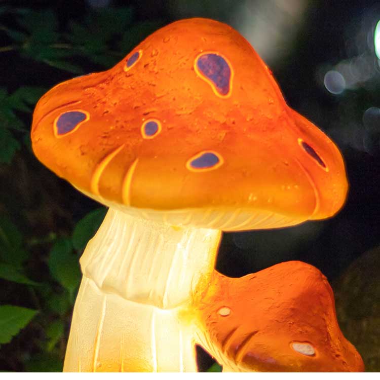 Solar Mushroom Lights