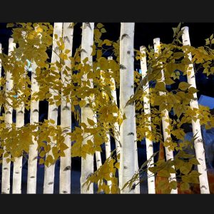 Home 18 LED birch tree with lights