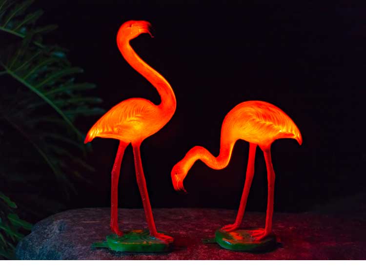 Flamingo Decor Lights