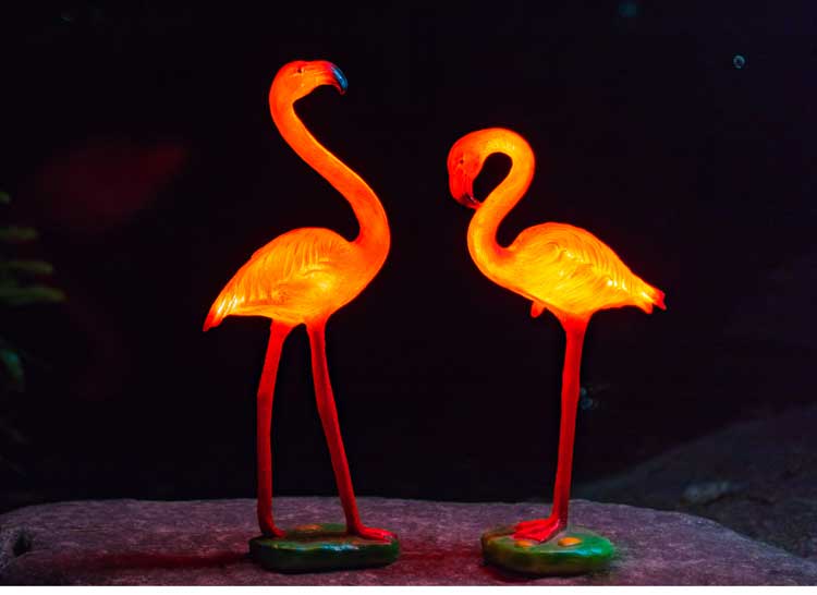 Flamingo Decor Lights
