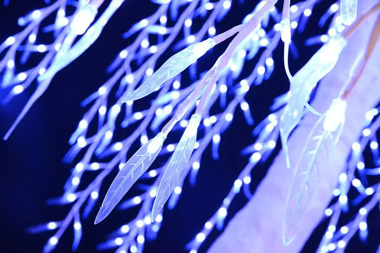 lighted willow tree 