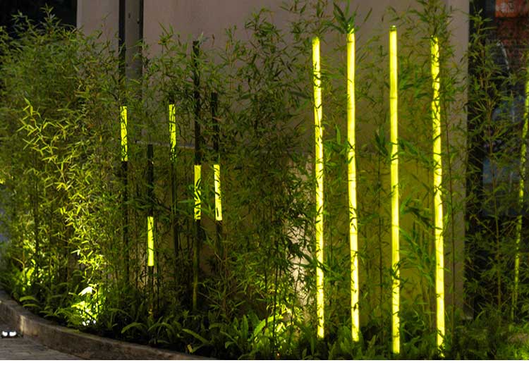 Bamboo Light