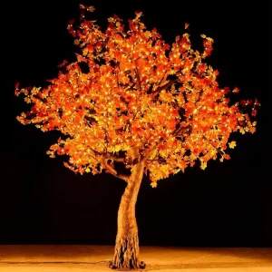 Home 16 red maple tree