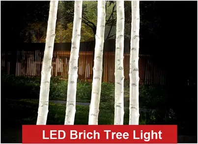 Home 8 white birchtree